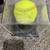 Autographed Softballs 1 thumbnail