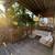 SPACIOUS 2 BED 1 BATH + PORCH - SUBLEASE Oct 1st, 25 to May 5th, 26. 5 thumbnail