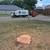 TREE SERVICE NEAR ME. TREE REMOVAL. TRIMMING. PRUNING. 817-696-5697 9 thumbnail