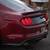 2015 Supercharged 5.0 Mustang 4 thumbnail