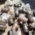 77 Black Pipe Fittings 4 thumbnail