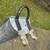 Rustic Metal Planter Trough 6 thumbnail