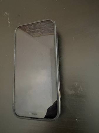 iPhone 12 with case 1