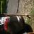 HUGE 3 FAMILIES YARD SALE   ANTIQUES ....VINTAGE....MORE... 11 thumbnail
