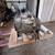 💲★2013-2015 FORD FUSION - AUTOMATIC TRANSMISSION - #M19487★💲 7 thumbnail