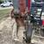 Excavation,Skidsteer, Backhoe, Foundation,Drainage, Erosion, Sewer 7 thumbnail