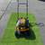 Cub cudet basic push lawnmower 1 thumbnail