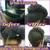 ALOPECIA COVER STYLES..STYLES THAT HELP GROW HAIR 3 thumbnail