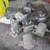 misc older plow controls, solenoid, brackets ect. 12 thumbnail