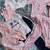 Huge lot of 100+ NEW Unworn Clothing Items Juniors Size 4, XS/Small 5 thumbnail