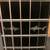 RainSong Carbon Fiber Acoustic Guitar 13 thumbnail