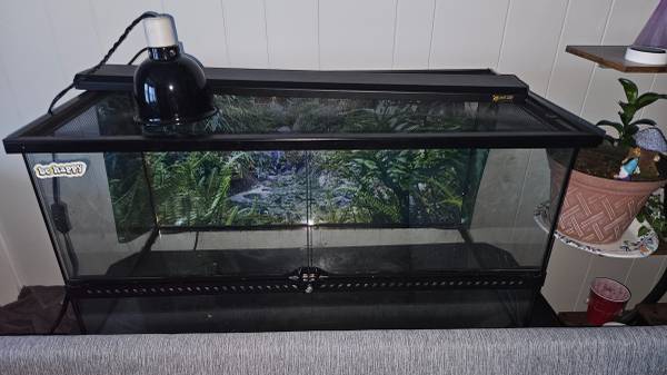 40 gallon reptile tank 1