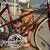 Women’s Peougeot Road Bicycle 3 thumbnail
