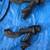 Hobie Kayak accessories  MAKE OFFER. 22 thumbnail