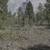 1.3 partially developed acres in Bailey Colorado on Buton Street 9 thumbnail