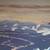 Swans in flight Ed Tussey limited edition print 3 thumbnail