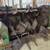 JD 370 Spreader Hyd-Gate  top beater 4 thumbnail