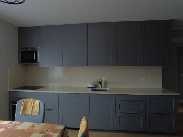 $975 / 1br - 830ft2 - Room for rent in spacious condo (1 Bdrm, 1 Ba) (Edison Park)64041808539138123