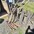 Hay Grain Sickle Scythe 2 thumbnail