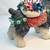 Danbury Mint Miniature Schnauzer Resin Figure Christmas Santa Dog 5 thumbnail