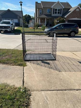 XXX Dog Cage 1