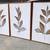 New Large Botanical Leaf Framed Art Set from Wayfair 2 thumbnail