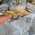 Water turtle 2 thumbnail