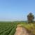 197+ Acres Agricultural Land in Browerville 12 thumbnail