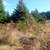House cleaning/Yard-Farm Laborer 21 thumbnail