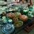Tables of Antique Glassware & Collectibles 2 thumbnail