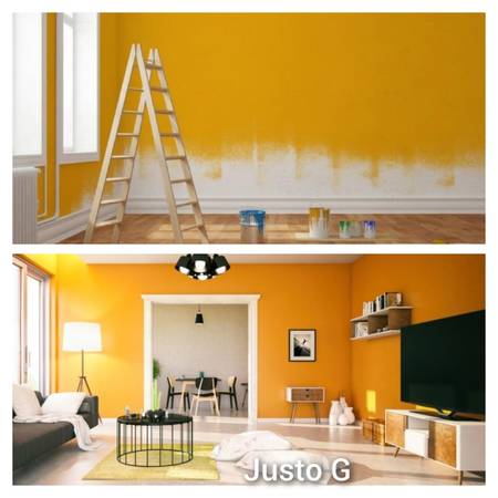 PROFESSIONAL PAINTERS 1