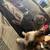 KITTENS 1 thumbnail