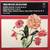 Clementi Haydn Hummel - New York Camerata – Trios For Flute, Cello & P 1 thumbnail