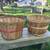 2 Full Size Wood Bushel Baskets 1 thumbnail