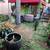 MAGIC CASTLE -- LARGE STUDIO -- renovated --- FENCED YARD (shared) -- 16 thumbnail