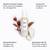 Bondi Boost Rapid Repair Serum! Fix Split Ends and Damaged Hair Today! 1 thumbnail