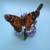 Lenox Fine Porcelain American Painted Lady Butterfly 4 thumbnail