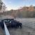 Bred cows 7 thumbnail