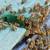 Bees bugging you? We exclude bees from choosing your property, live-trap those t 20 thumbnail