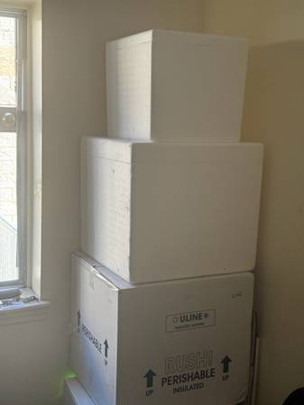 Empty styrofoam boxes 1