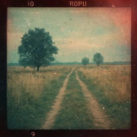 Looking for expired 120 color film 1