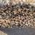 Firewood 8 thumbnail