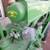 John Deere Model B Tractor 13 thumbnail