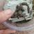 Dubia roaches 1 thumbnail