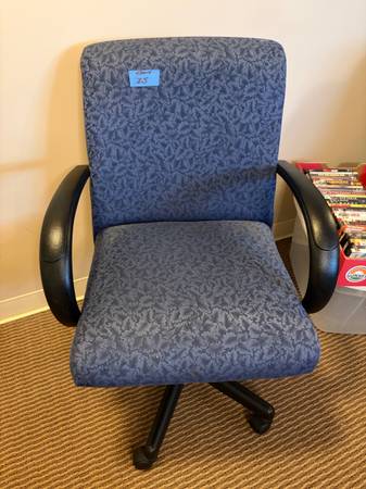 Computer/Desk Chair 1