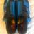 Shimano R321B Shoes 7 thumbnail