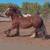 Gypsy vanner mare 5 thumbnail