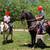 Black Gaited Gelding 8 YEAR OLD ❤️ Solid Trail Horse. 11 thumbnail
