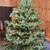 7' pre-lit Christmas Tree, near-new condition, easy assembly 2 thumbnail