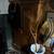 ANTIQUE FURNITURE, COUNTRY, EMPIRE, FEDERAL, HIGHBOY 21 thumbnail